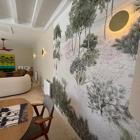 Design, Coeur D'arcachon Et A Pied ヴィラ