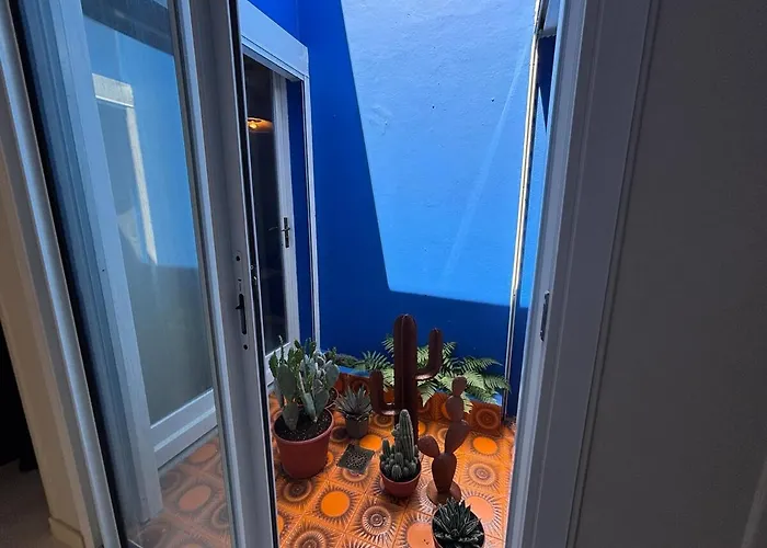 Design, Coeur D'arcachon Et A Pied Arcachon